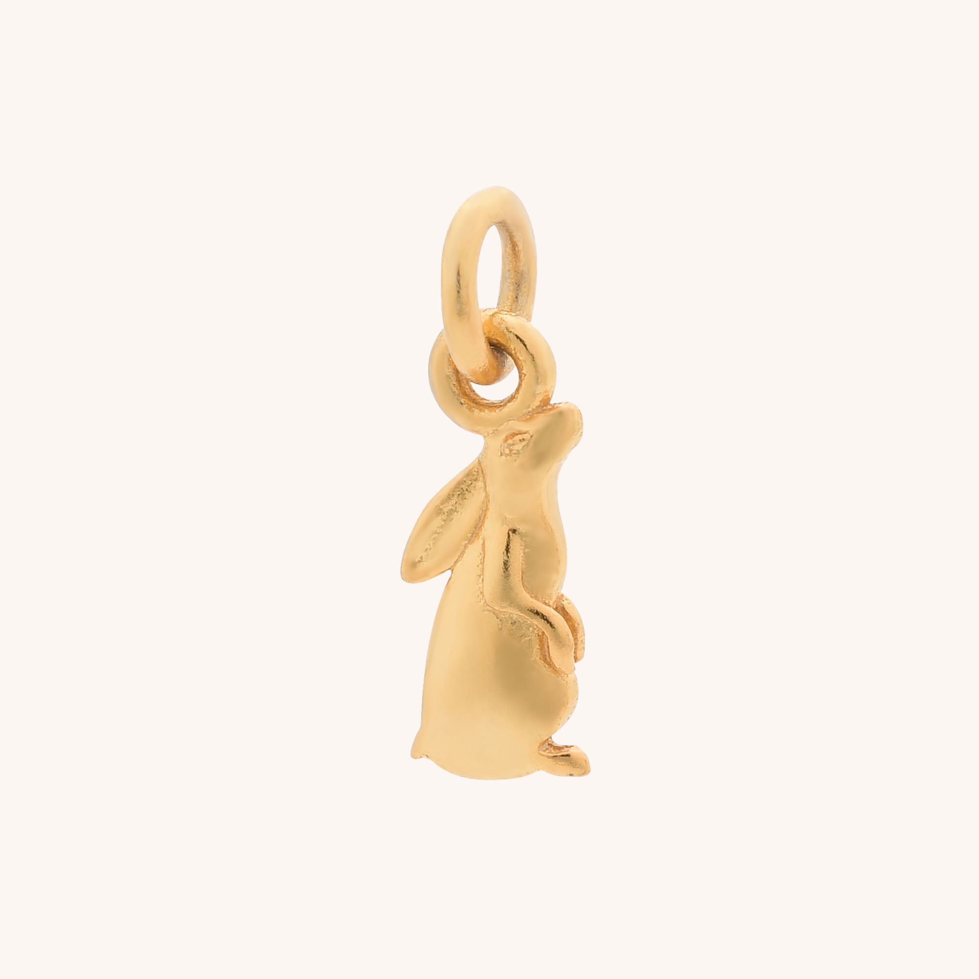 Star Gazing Hare Charm