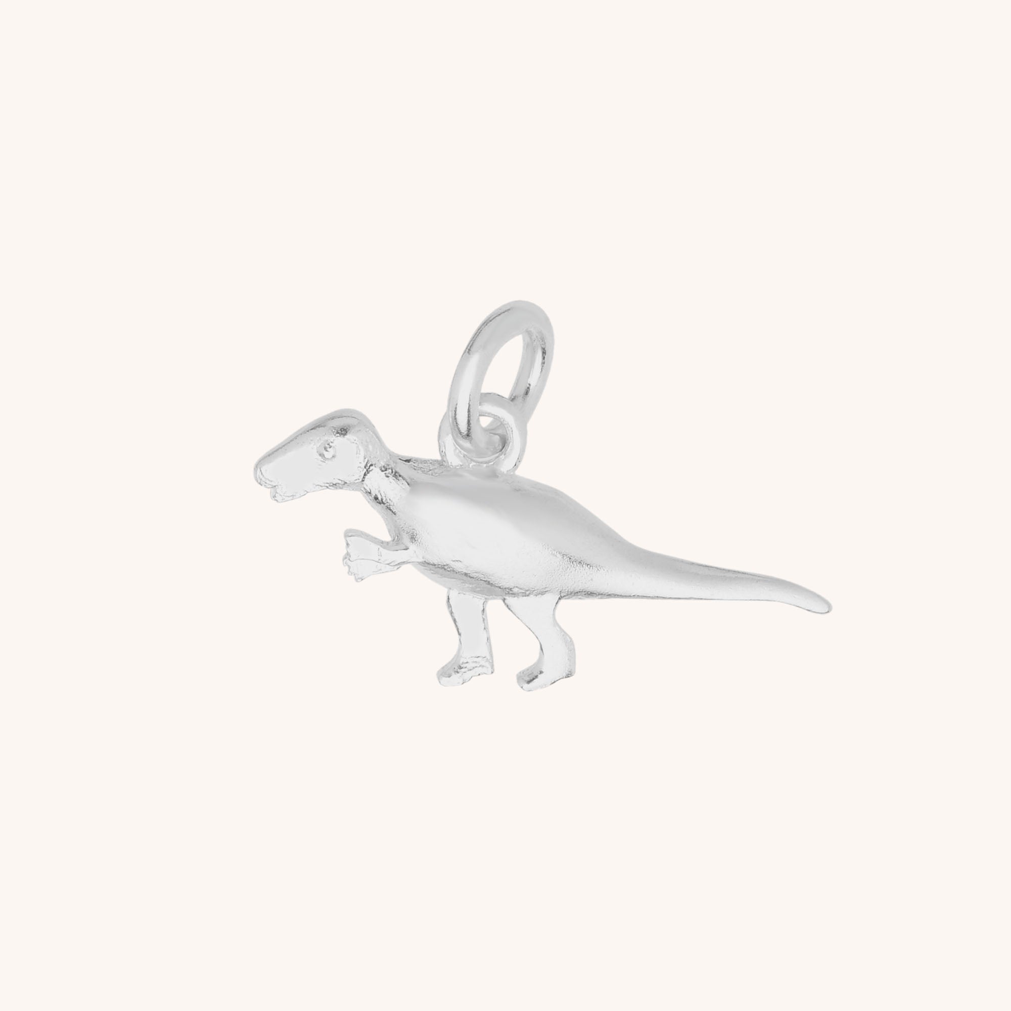 Dinosaur Charm