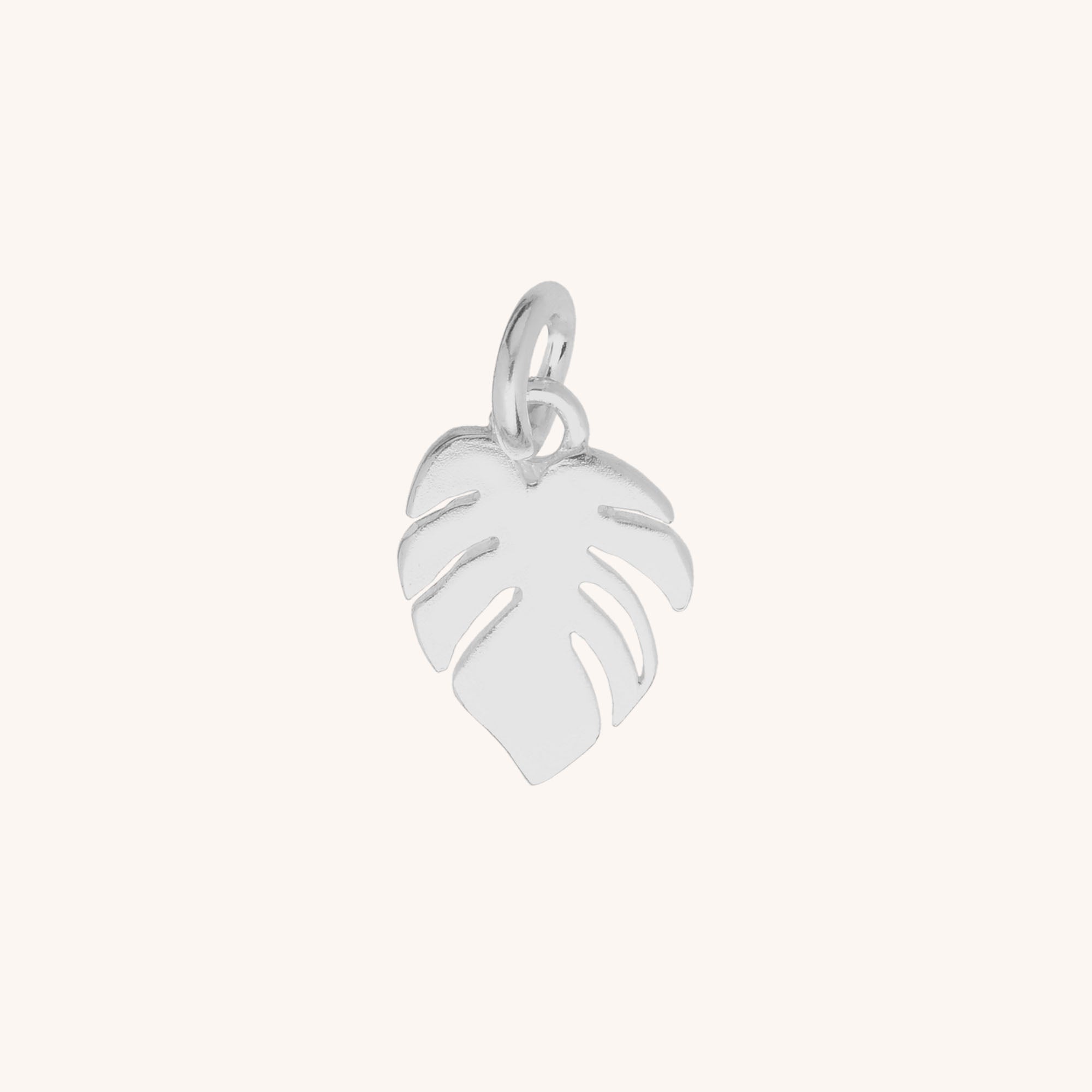 Monstera Leaf Charm