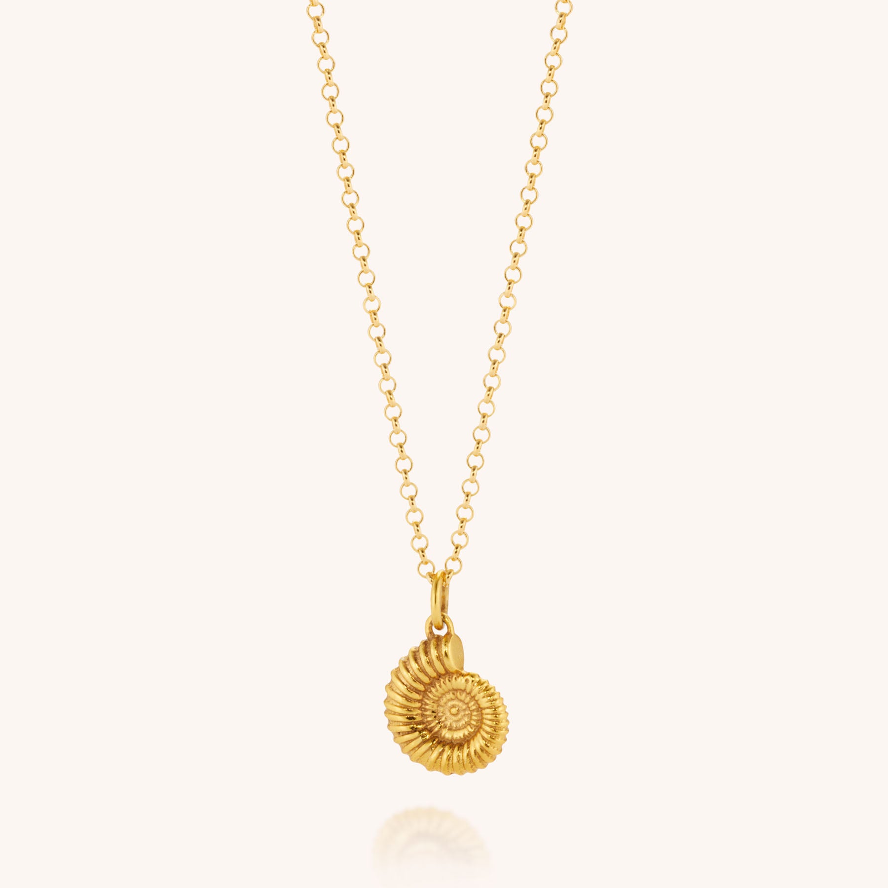 Gold ammonite necklace on a chain