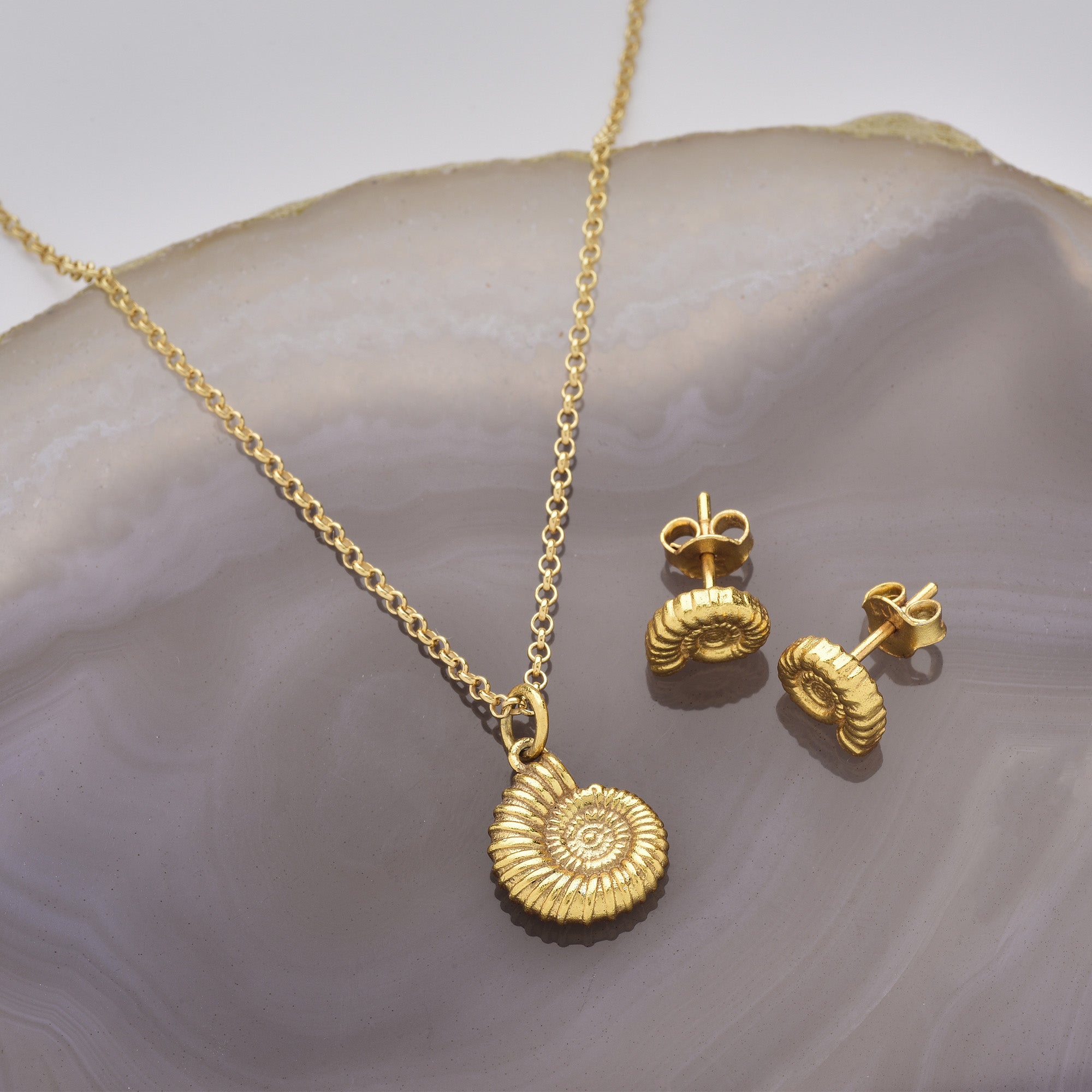 Gold ammonite necklace and ammonite earrings