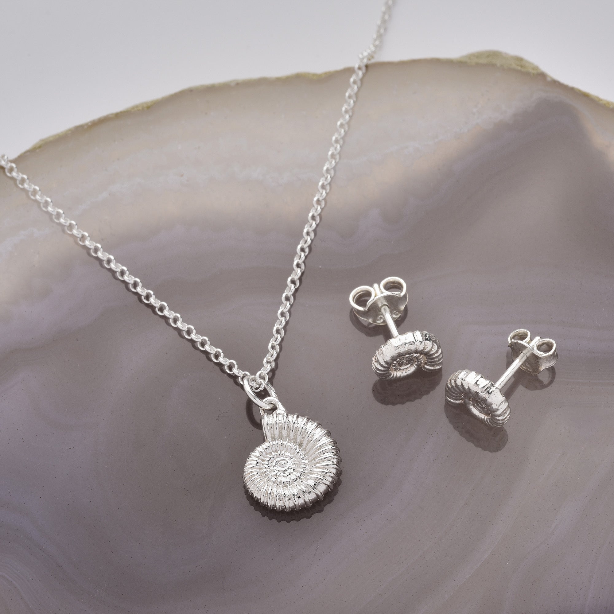 Silver ammonite pendant on a belcher chain with matching ammonite earrings