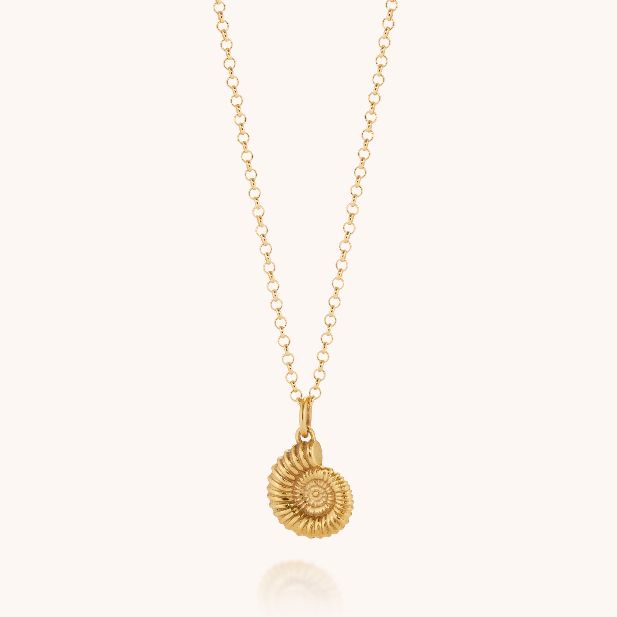 The Ammonite Necklace features a gold-toned fine chain with a small, detailed ammonite fossil pendant, shown on a plain light background.
